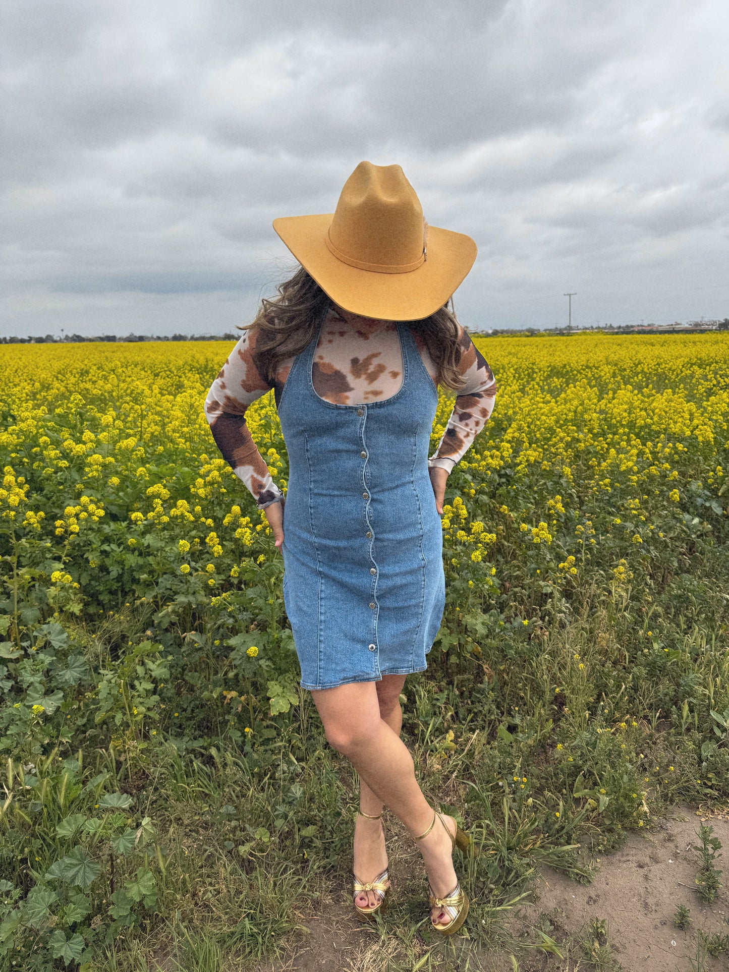 Me Gustas Sheer Cow Print Top