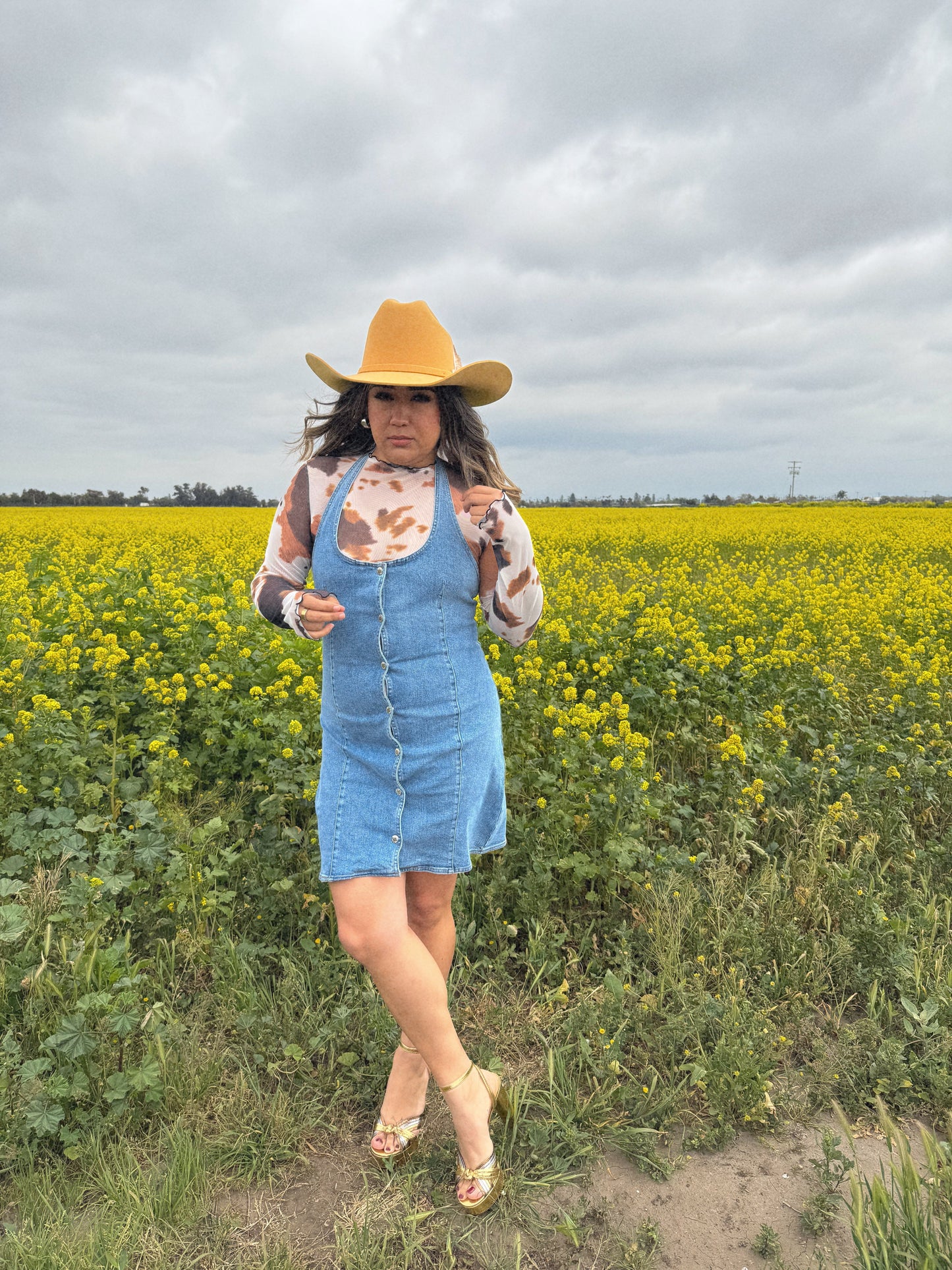 Me Gustas Sheer Cow Print Top