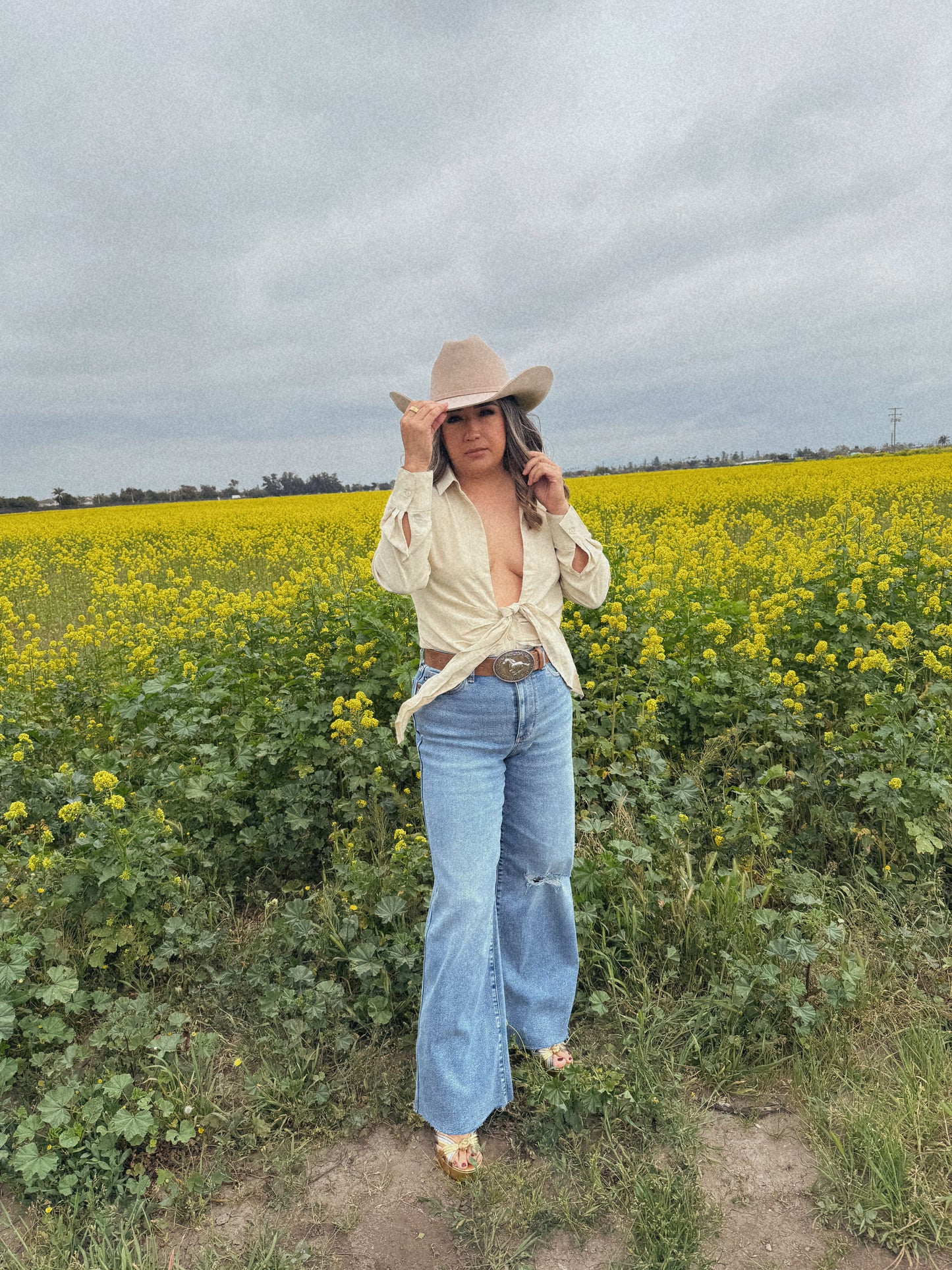 Casi Completa Button Down Top- Oatmeal