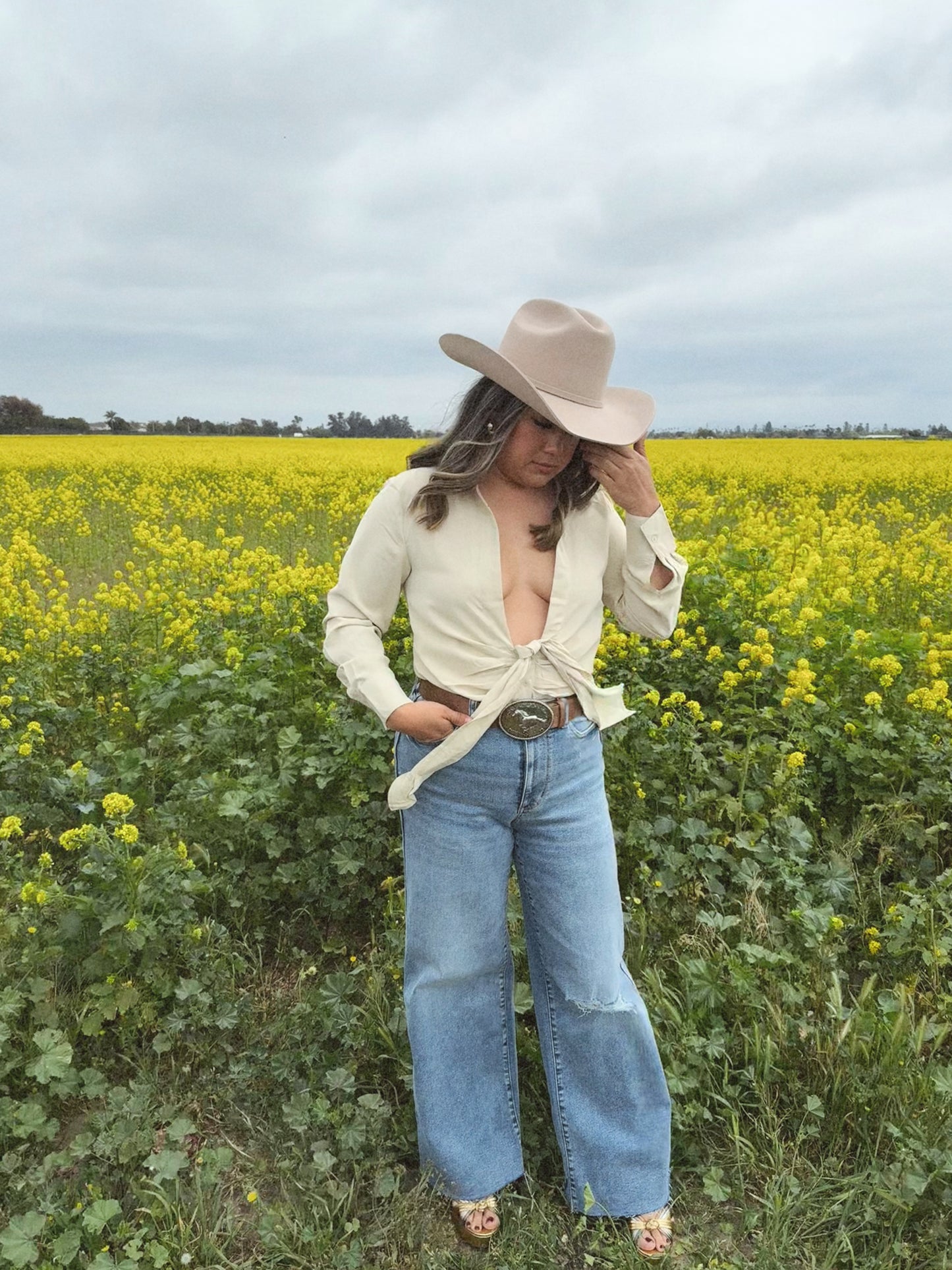 Casi Completa Button Down Top- Oatmeal