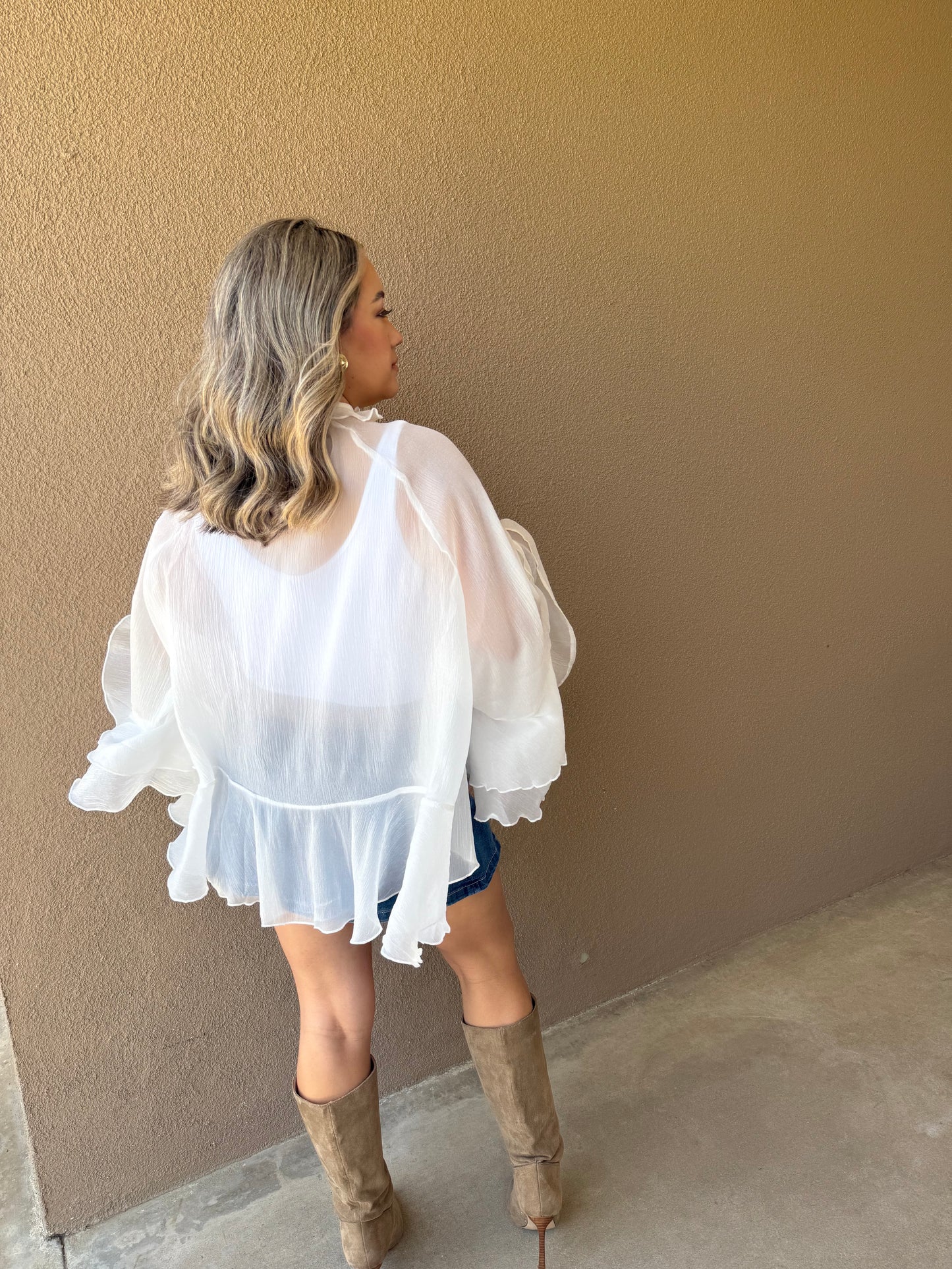 Gemma Long Sleeve Sheer Ruffled Top- White