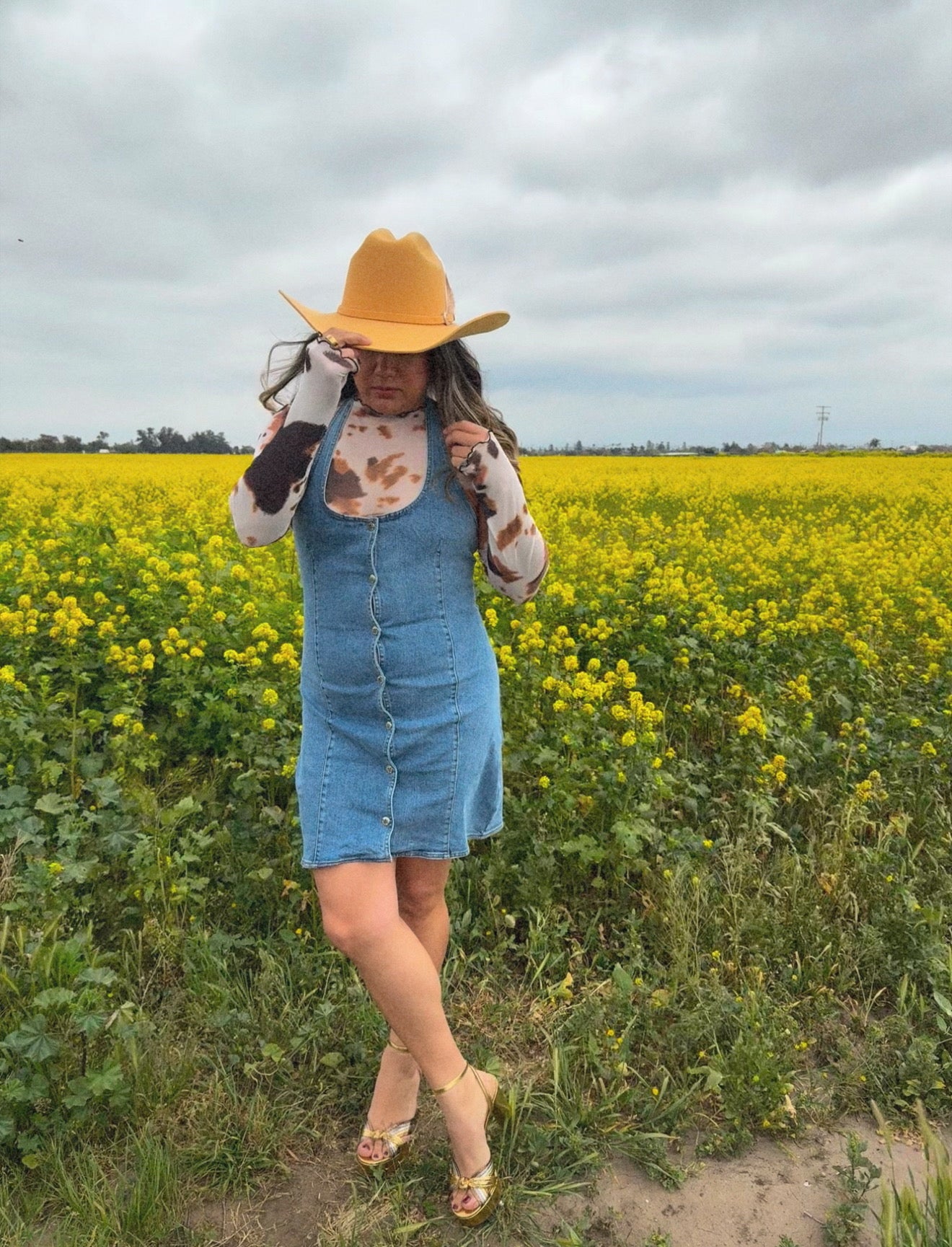 Me Gustas Sheer Cow Print Top