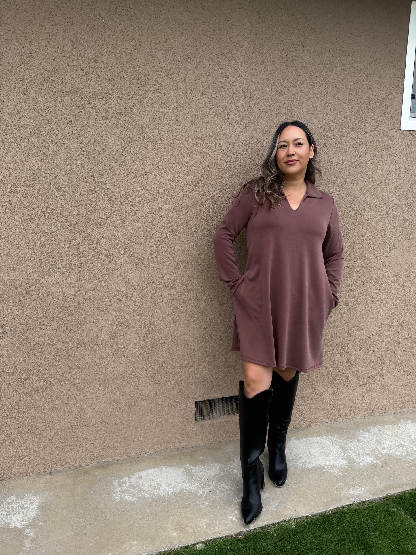 Cappuccino Collared Long Sleeve Mini Dress