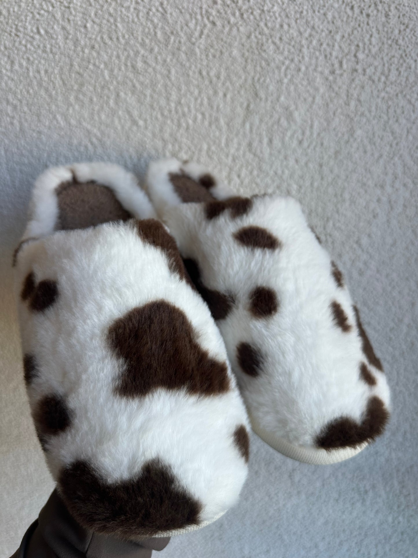 Cow Slippers