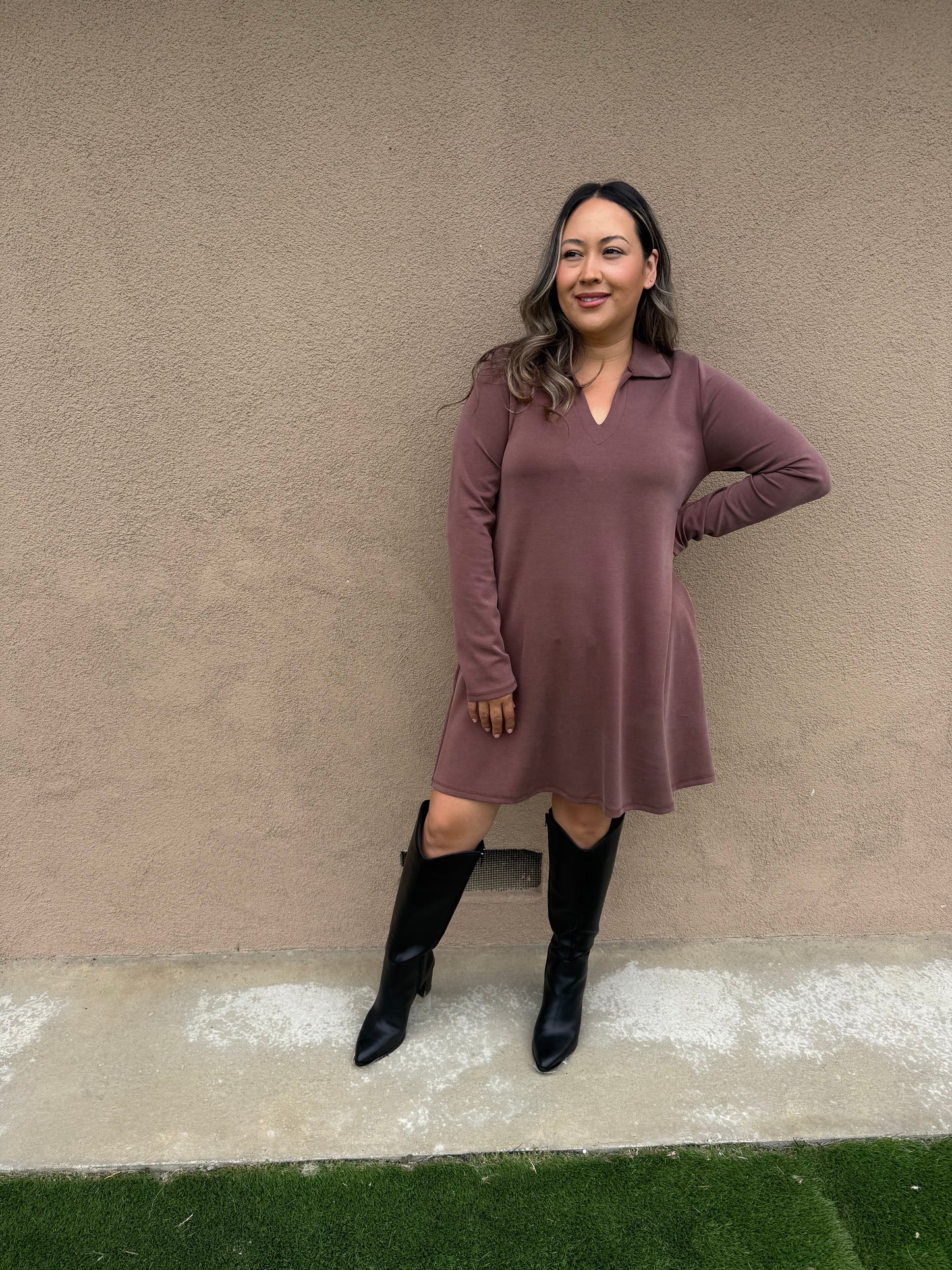 Cappuccino Collared Long Sleeve Mini Dress
