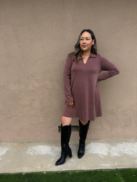 Cappuccino Collared Long Sleeve Mini Dress