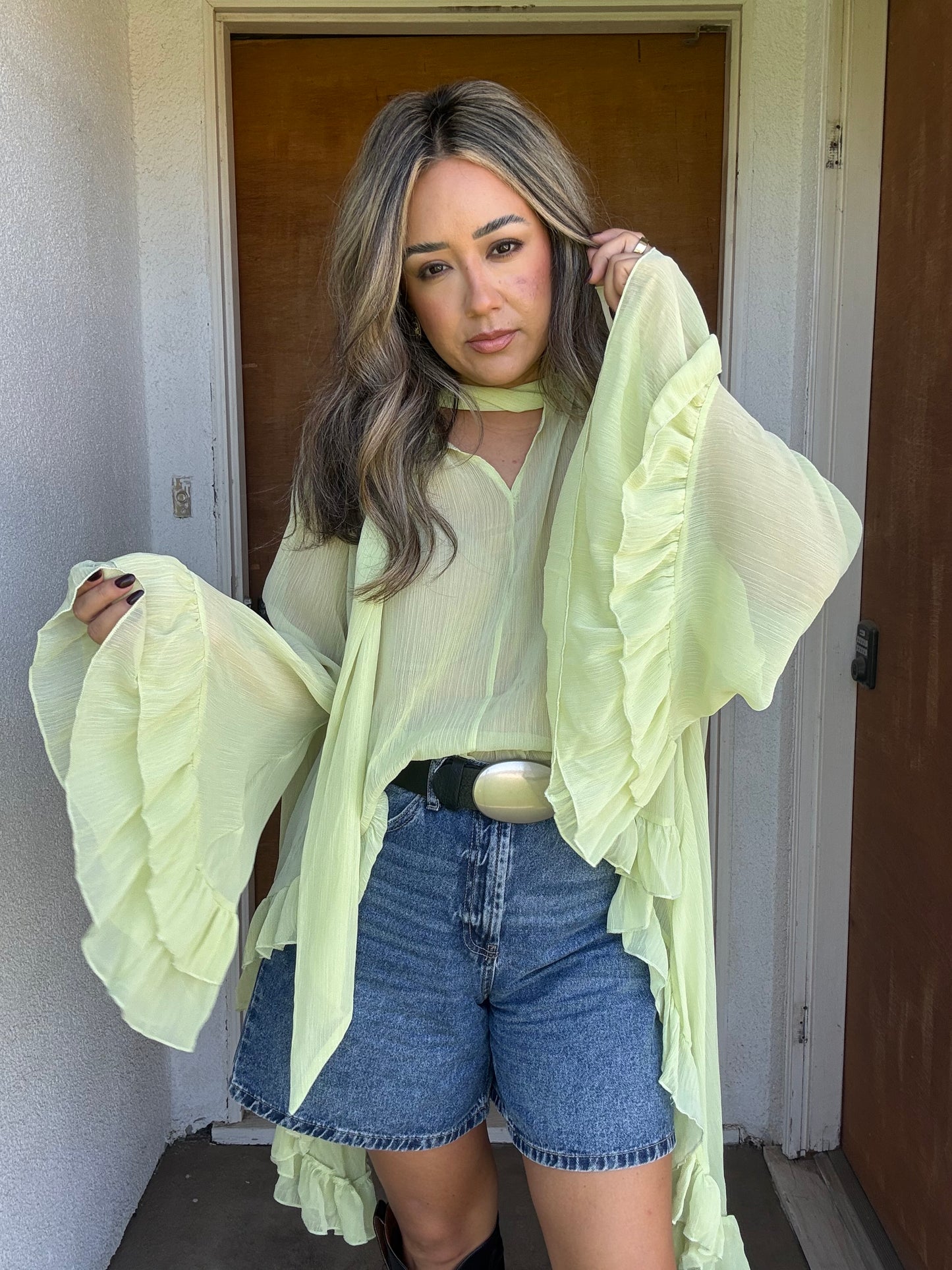 Dandelion Sheer Ruffled High Low Top