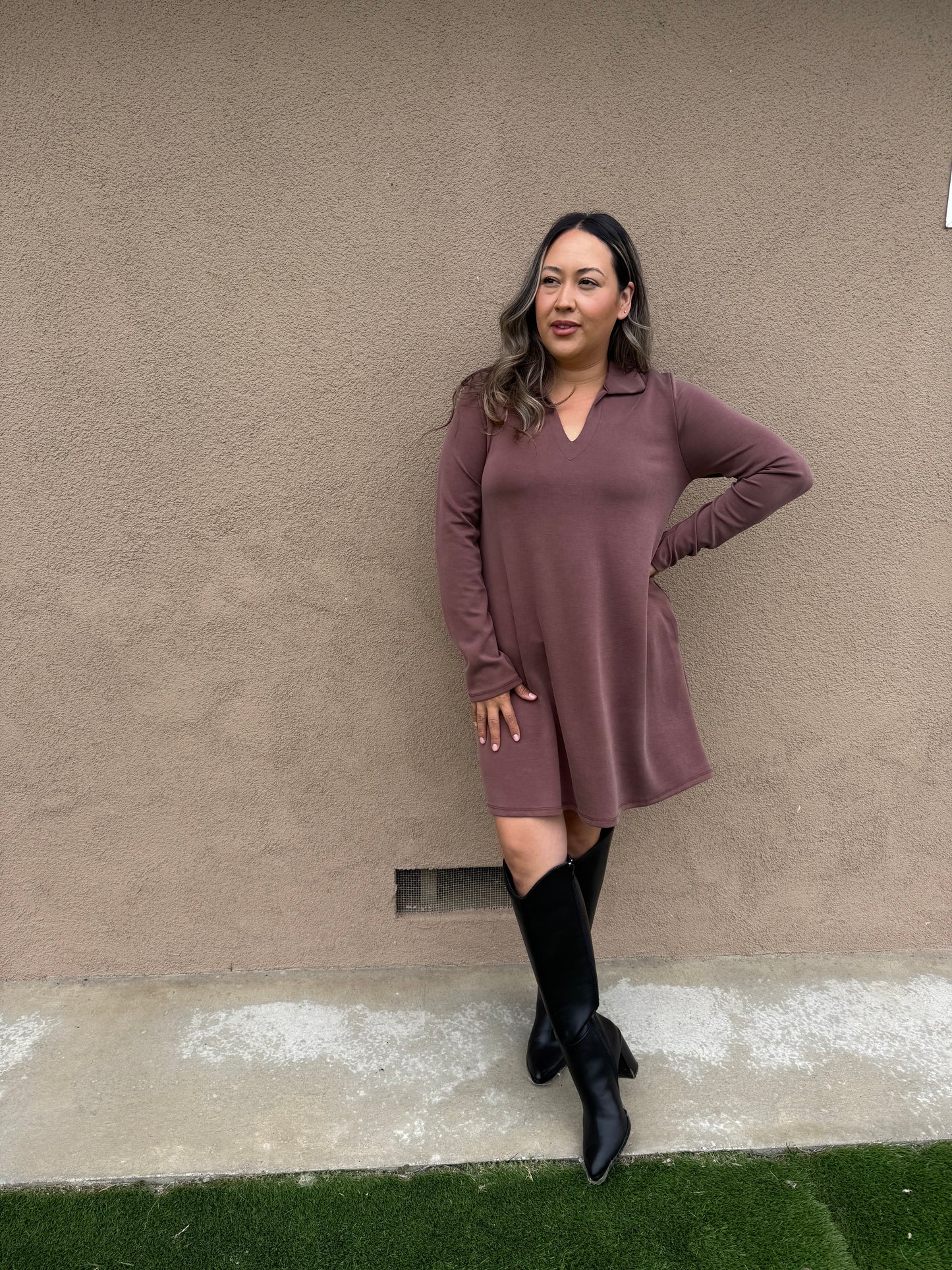 Cappuccino Collared Long Sleeve Mini Dress