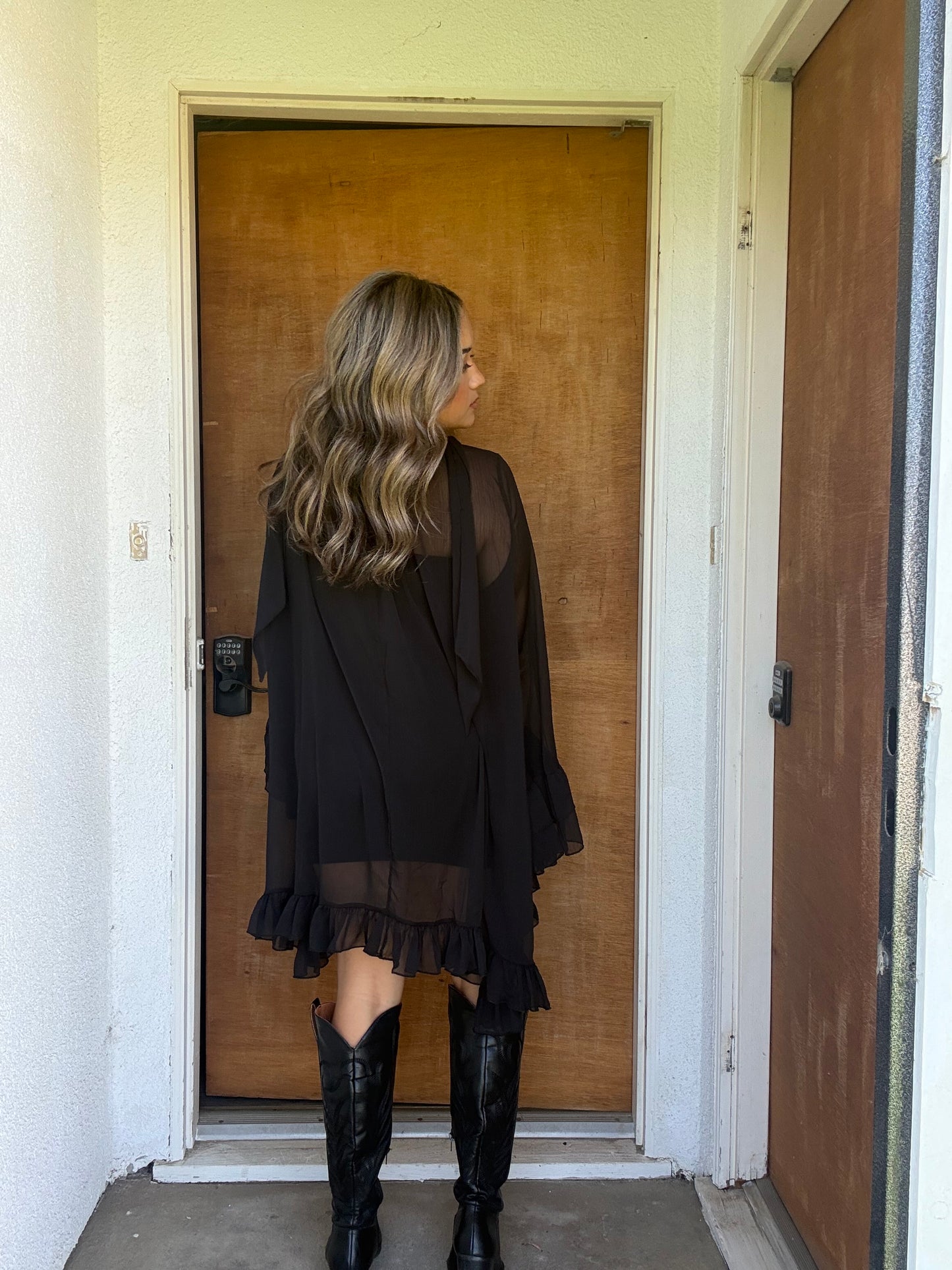 Dandelion Sheer Ruffled High Low Top