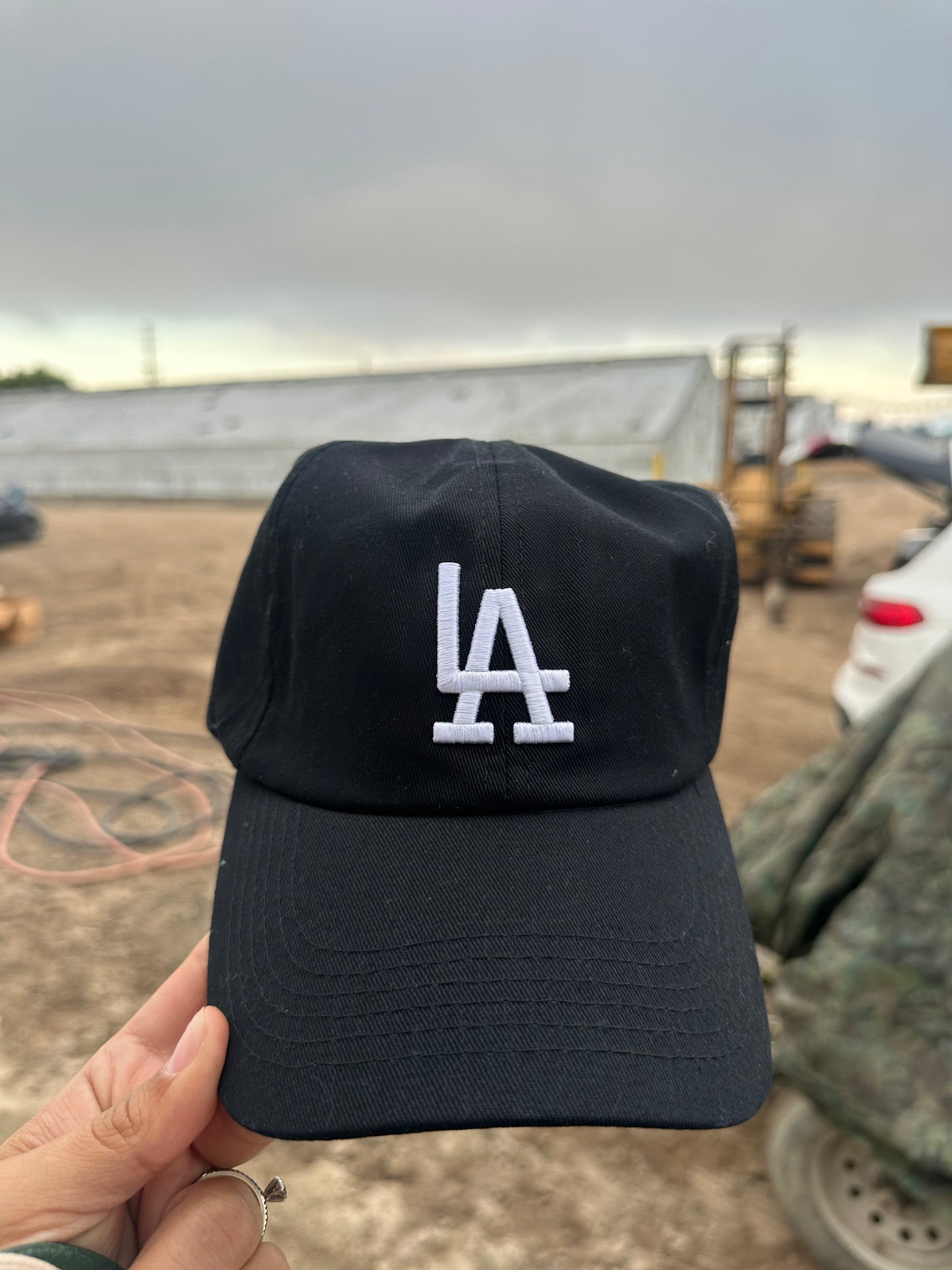 LA Dad Hat